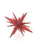 Item.nr: 028432 - DECORATIE DAVIDSTER ROOD (12st.)