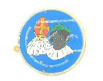 Art.nr: 440655 - SINTERKLAAS GEDULDSPELLETJES ASS (100st)