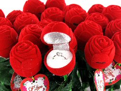 Art.nr: 44889 - ROOS MET EEN RING ERIN (24st.)