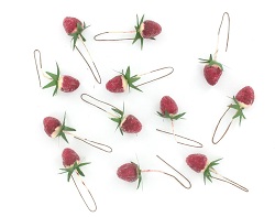 Item.nr: 450208 - 12 AARDBEIEN OP STOK (12st.)