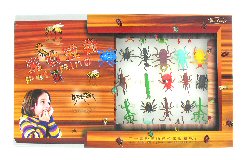 Art.nr: 47034 - INSECTEN RINGEN IN DISPLAY (50st.)