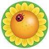 Art.nr: 51175 - DE FLYING DISC -model ZONNEBLOEM  43 cm-