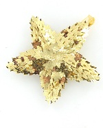 Item.nr: 575395 - DECO STER MET BLADEREN (6st.)