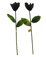 Item.nr: 629757 - GROTE MAGNOLIA - ZWART (12st.)
