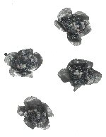 Item.nr: 665567 - 4 DECORATIE BLOEMEN IN BOX (6st.)