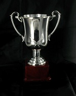 Art.nr: 69097 - BOKAAL ZILVER - GROOT