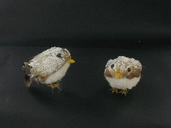 Item.nr: 722467 - 4 DECO VOGELS IN BOX (6st.)