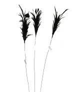 Item.nr: 728775 - VEREN GUIRLANDE - ZWART (6st.)