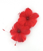 Item.nr: 728950 - 2 VERENBLOEMEN IN BOX (12st.)