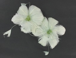 Item.nr: 728959 - 2 VERENBLOEMEN IN BOX (12st.)