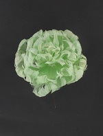 Item.nr: 729341 - DECORATIEBLOEM - LICHTGROEN (36st.)