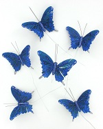 Item.nr: 729479 - DECORATIEVLINDERS IN BOX BLAUW (6x6st.)