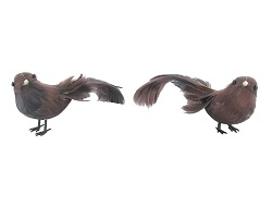 Item.nr: 729495 - 2 DECORATIE VOGELS IN BOX (12st.)
