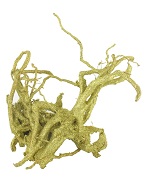 Item.nr: 915609 - DECORATIE BOOMWORTELS - GOUD (2st.)