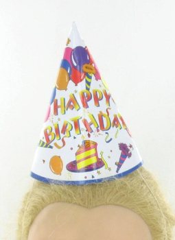 FEEST HOEDJES (12st.)