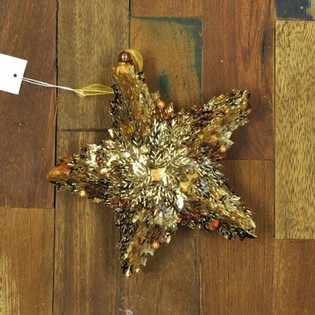 DECORATIE STER (6st.)