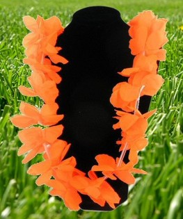 ORANJE WK VOETBAL HAWAII KRANS (12st.)