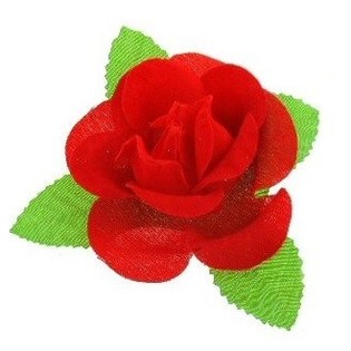 CORSAGE - ROOS MET BLAD (24st.)