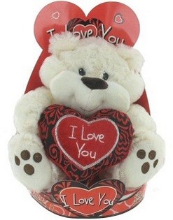 GROTE PLUCHE I LOVE YOU BEER (2st.)
