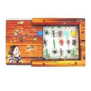 INSECTEN RINGEN IN DISPLAY (50st.)