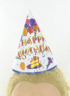 FEEST HOEDJES (12st.)