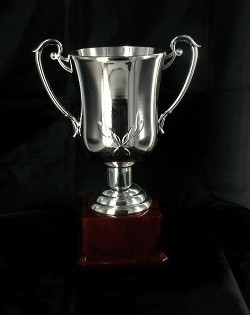 BOKAAL ZILVER - GROOT