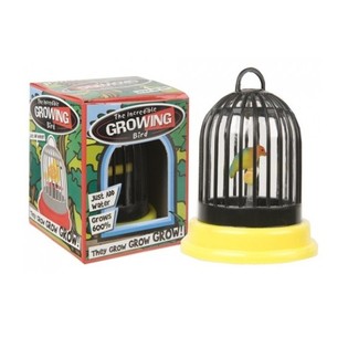 GROEIENDE VOGEL IN KOOI (24st.)