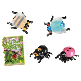 FRICTIE INSECTEN OP KAART (24st.)