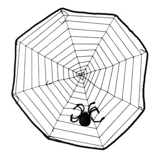 GROOT DECORATIE SPINNENWEB MET SPIN (8st.)