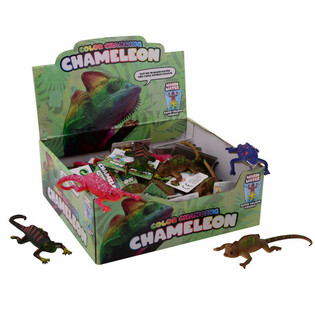 COLOR CHANGING KAMELEON IN DISPLAY  (48st.)